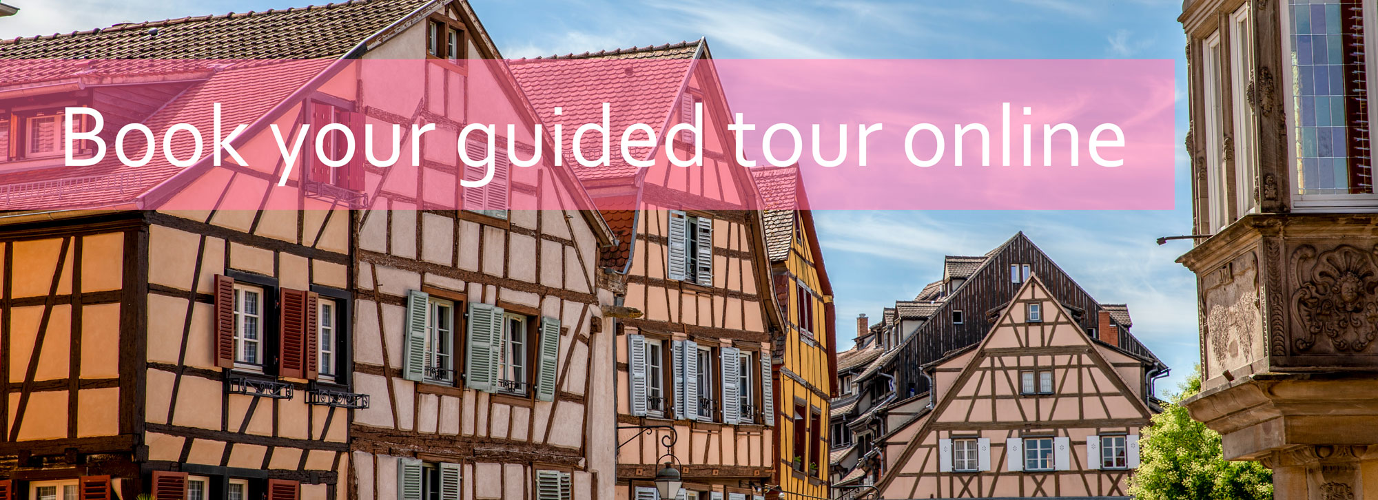 Book your guided tour online