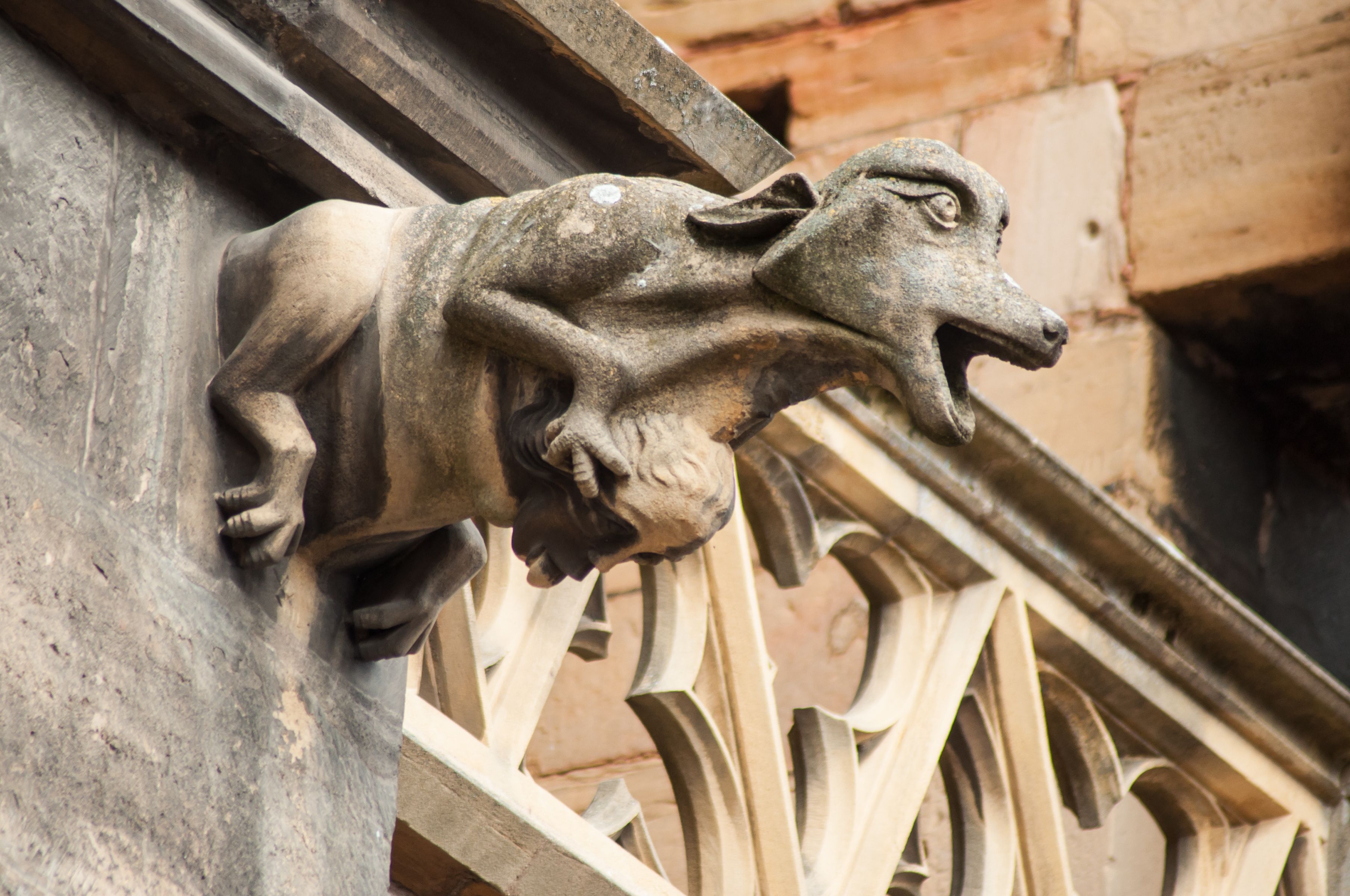 Détail - Place de la cathédrale - Colmar