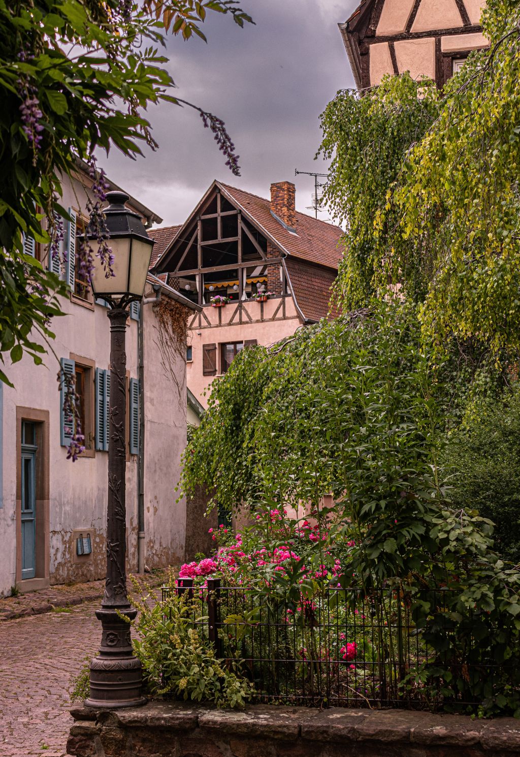 Rue de la Herse - Colmar